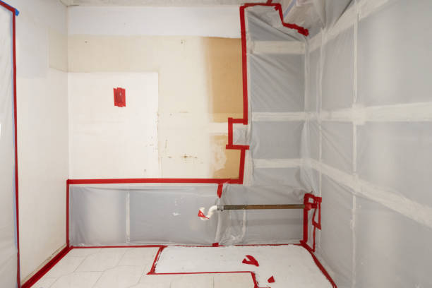 Best Mold Odor Removal Services  in USA